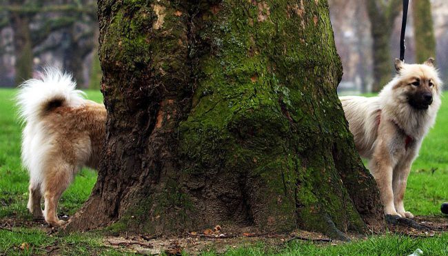 фотошоп, фотография, природа, мир