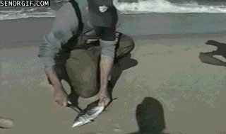 Тырить не перетырить, или о воровтстве в гифках gif, воровство, гифки, карманники, мошенники, подборка, прикол
