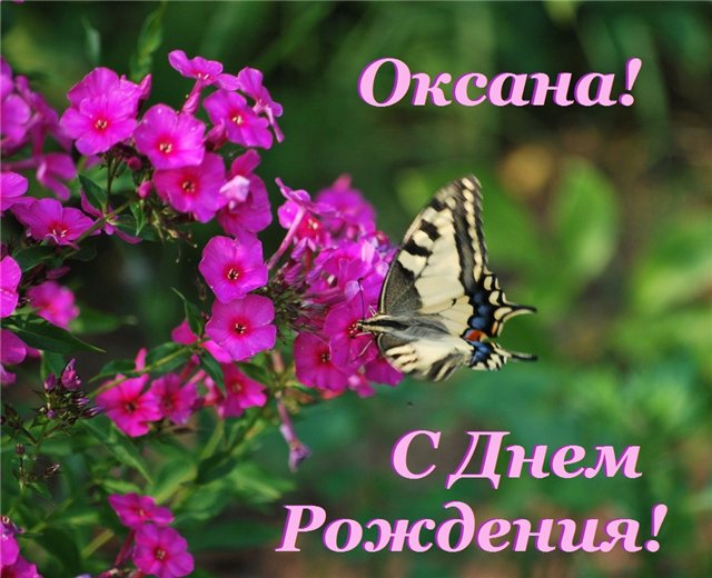 Поздравление на день рождение оксане Поздравление на день рождение оксане