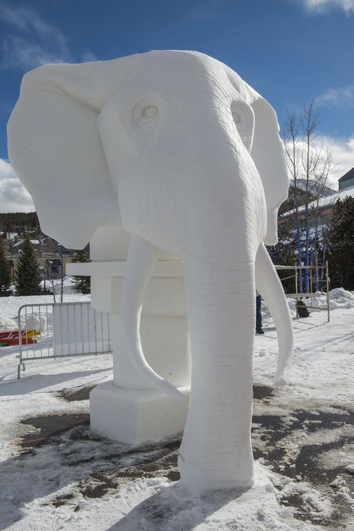    International Snow Sculpting Championships