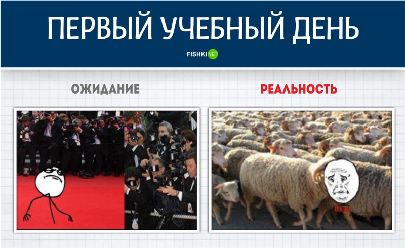 Жизнь в школе. Ожидание - реальность ожидание, опять двойка, реальность, школа