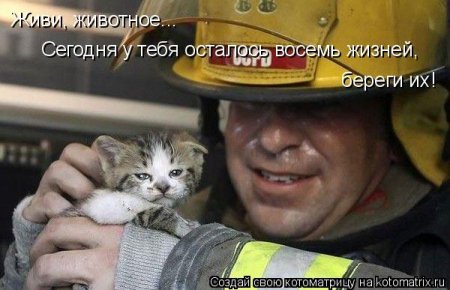 ��������� ����������� ������������..