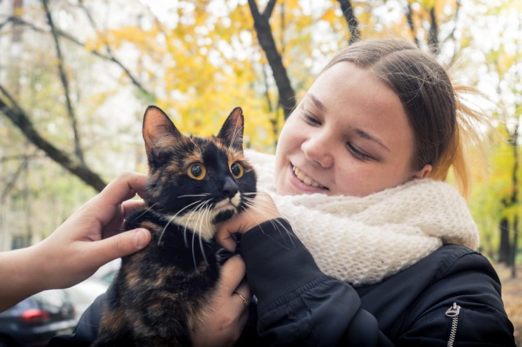 Кота передали девушке Ольге, которая вызывала спасателей/Владимир Мерников