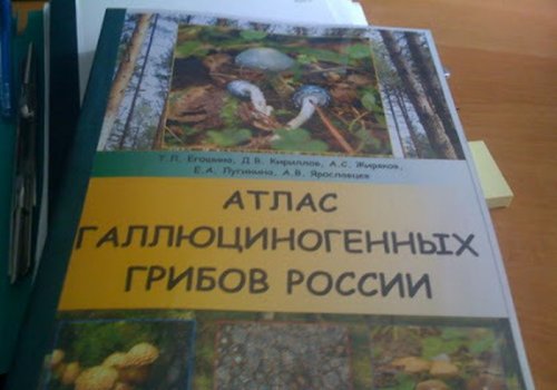 Прикольные картинки для всех и каждого (40 шт)