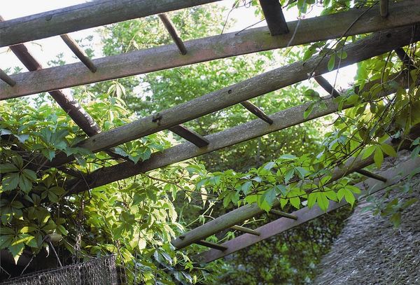 �� ���������� ������� ����� ������� ������� ��� ������ �����