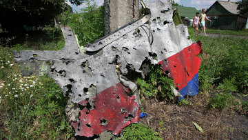 Обломки Боинга в Донецкой области. Архивное фото