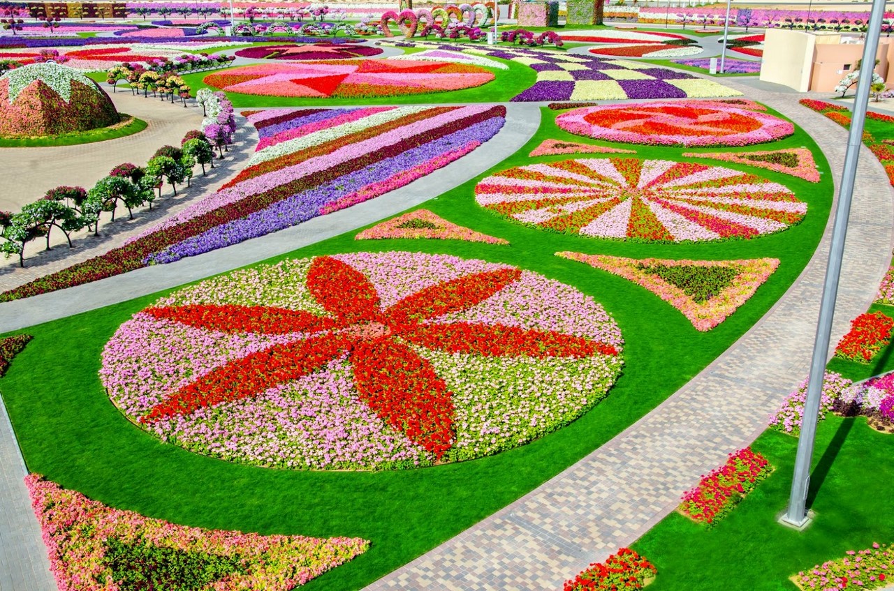 Фантастический  цветочный парк  Дубая Dubai Miracle Garden