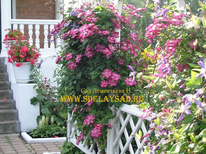 ��� ������� ����������