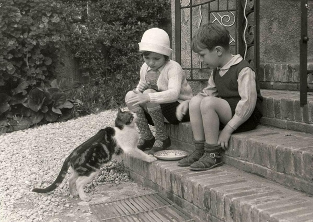 Ретро-фотографии котов 20-х годов прошлого века