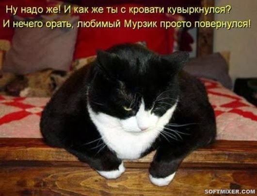 db2416edc5a97a45f7ff0dbb4b6_prev