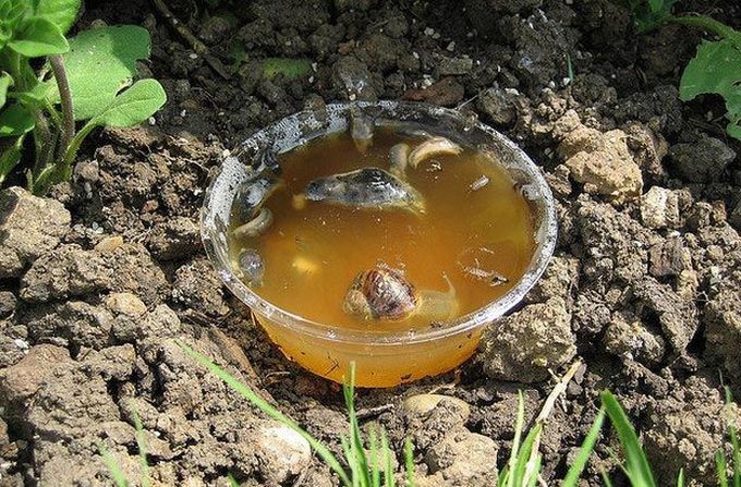 20 ������� � ������� ���������, ������� ������ ����� ������ ������� ����, ����, ������ ������