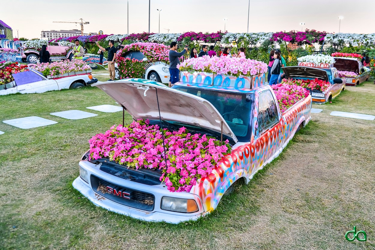 Фантастический  цветочный парк  Дубая Dubai Miracle Garden