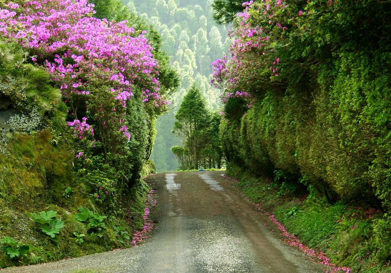 Азорские острова - места нетронутой природы