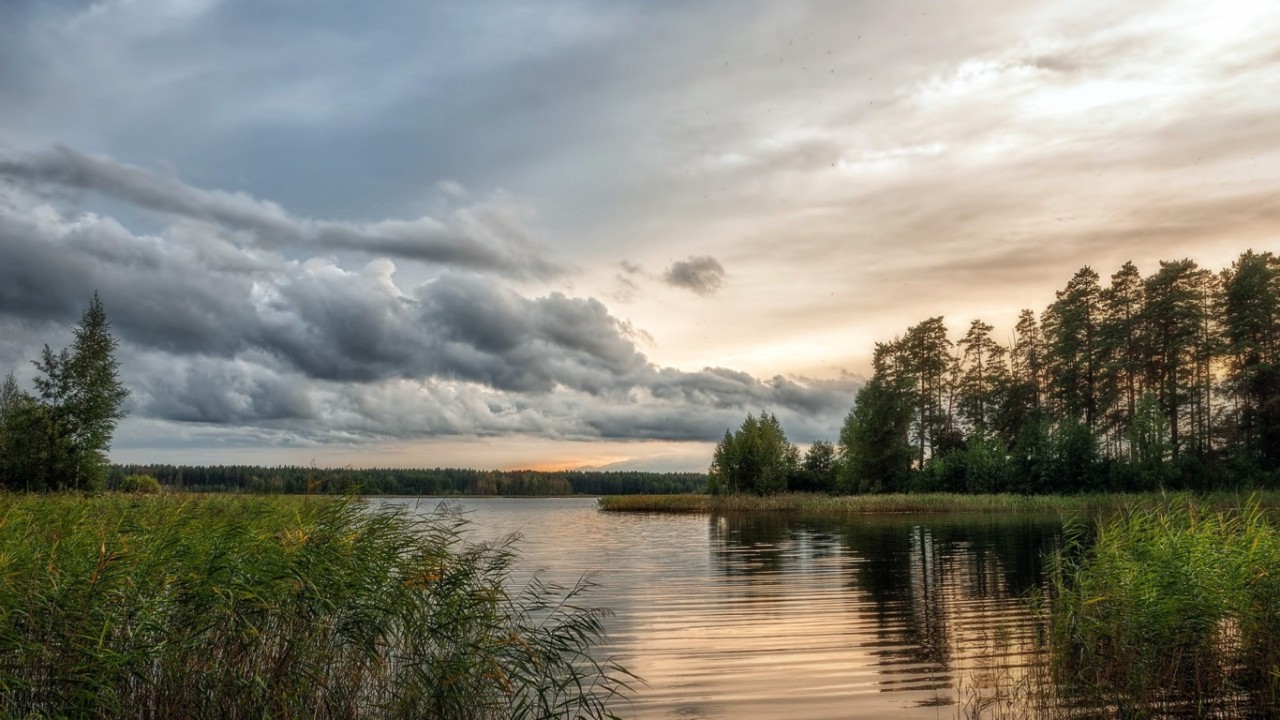 Природа России 14 Природа России 14