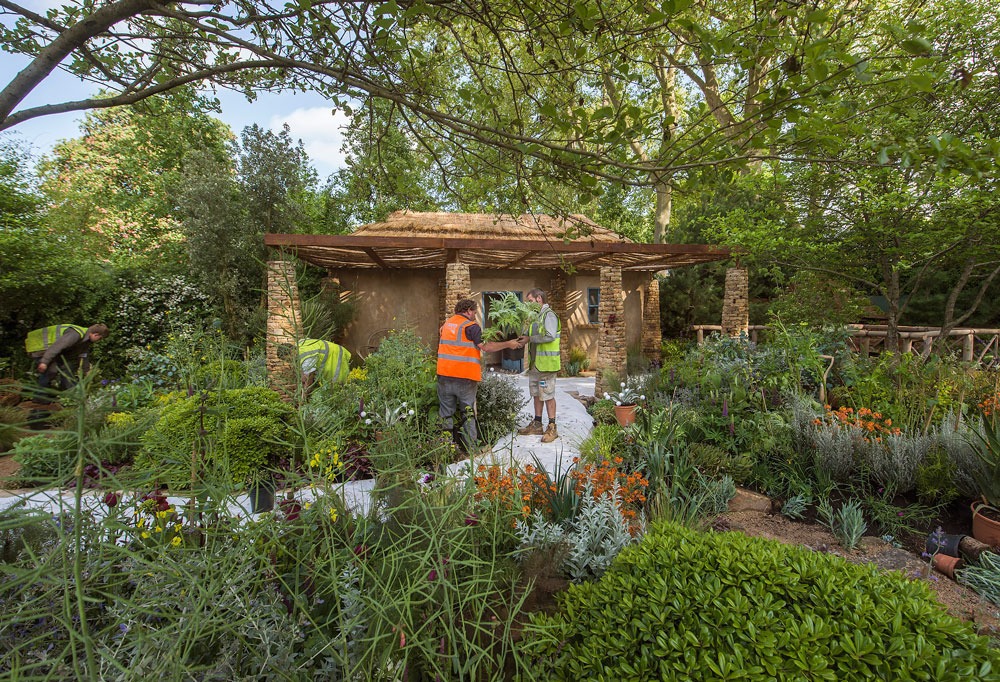 Впечатляющие фото с Chelsea Flower Show 2015