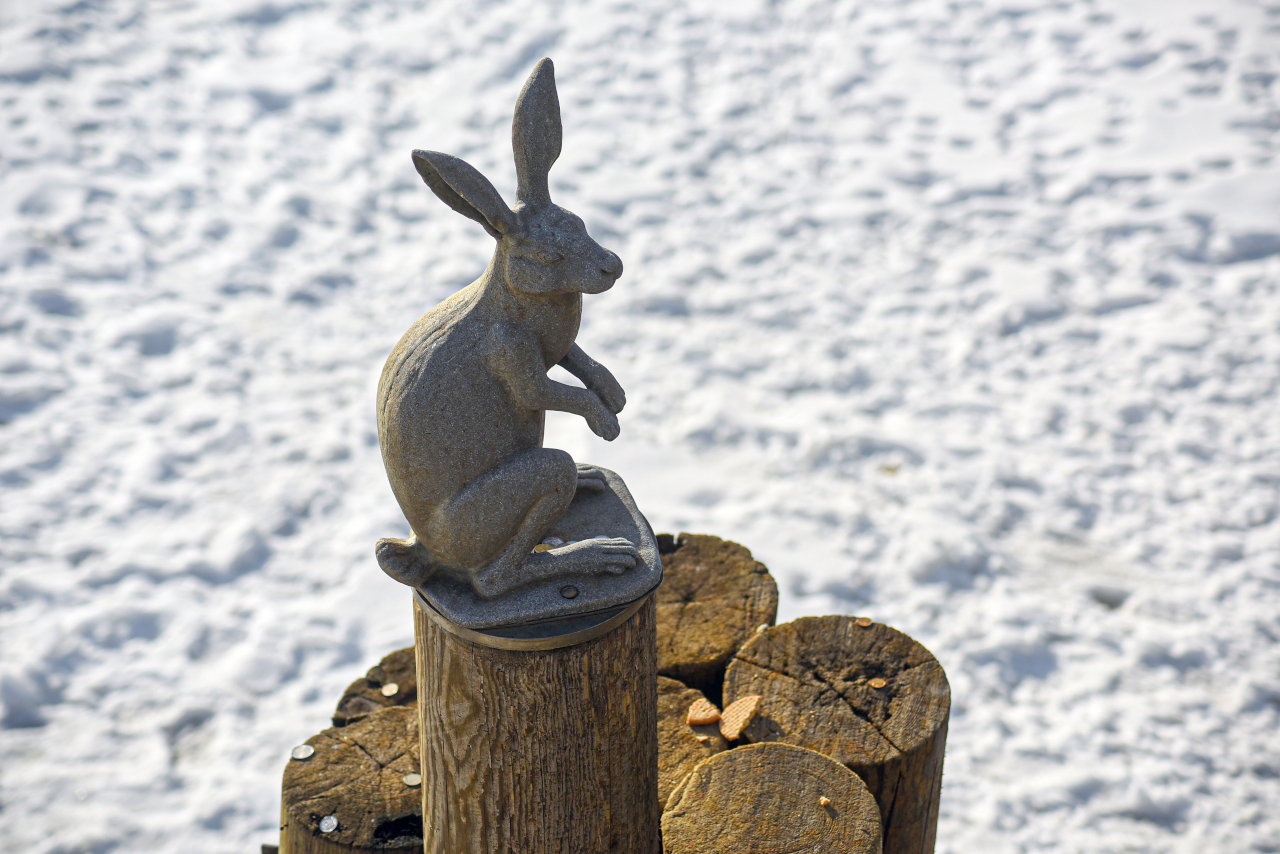 Скульптура зайца в Петропавловской крепости
