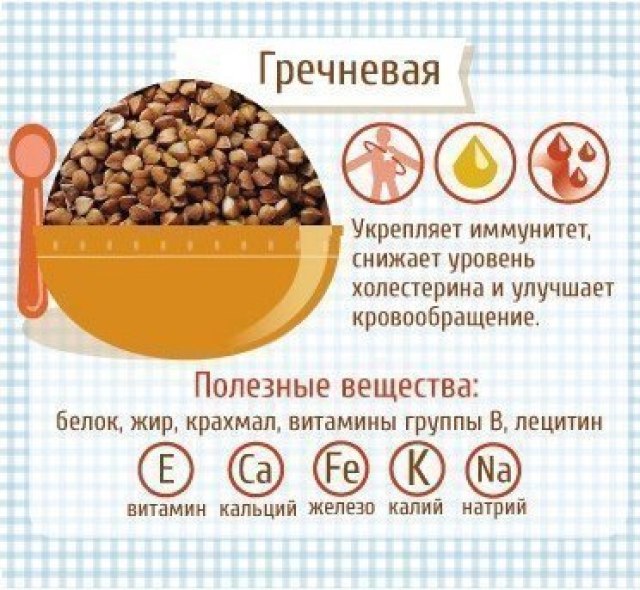 Полезные свойства каш Полезные свойства каш