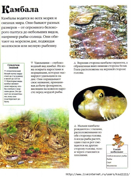 Entziklopedia dlya detei.Vse o jivotnih ot a do ya..page044 (518x700, 329Kb)