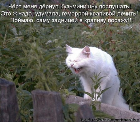 ��������� ����������� ������������..