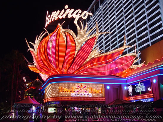 best online casinos reviews new online casinos with highest pa