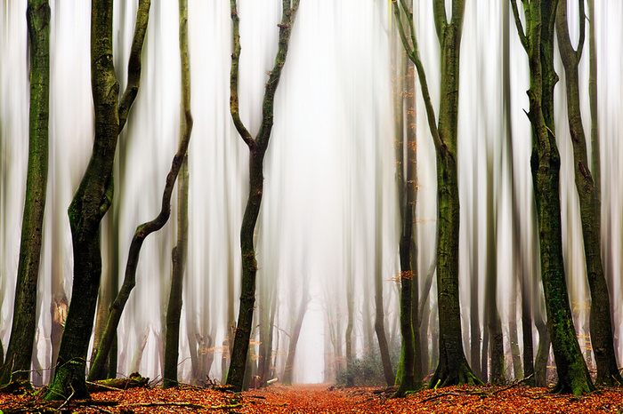     : Lars van de Goor