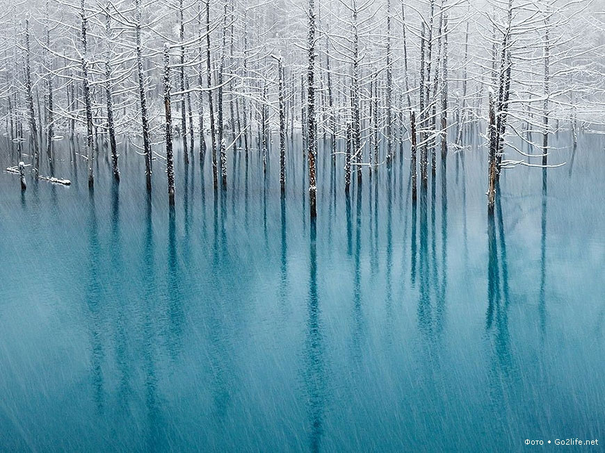 Лучшие фото National Geographic