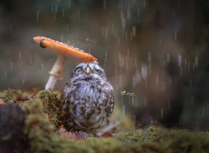  Tanja Brandt