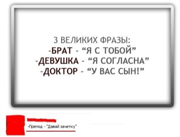 Смешные комментарии из социальных сетей комментарии, прикол, социальные сети