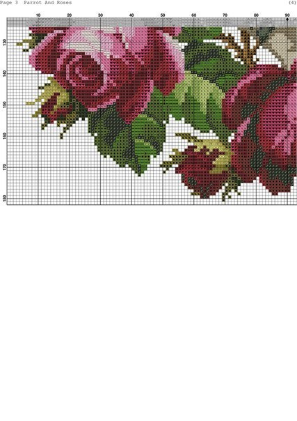 попугай5 (427x604, 171Kb)