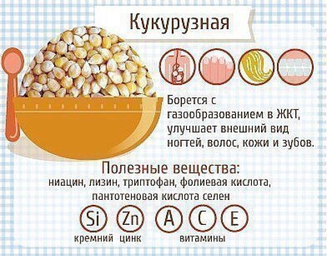 Полезные свойства каш Полезные свойства каш