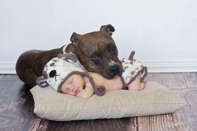 25 доказательств, что детям нужны домашние животные дети, домашние животные