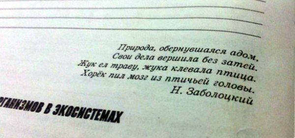 Вот такие учебники! Вот такие задачки... Вот такие учебники! Вот такие задачки...