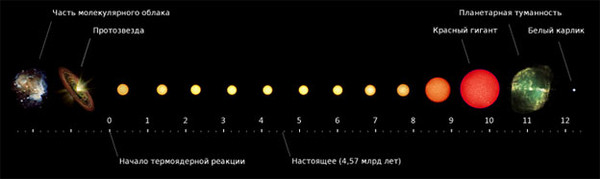 Матрешка Мироздания. Глава 1. АТОМЫ в ТЕЛЕ Гиганта.