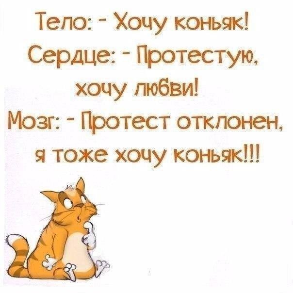 - Девочки, а кто-нибудь встречался с мужчиной старшего возраста?.. - Девочки, а кто-нибудь встречался с мужчиной старшего возраста?..