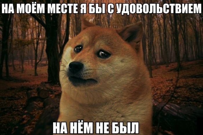 Прикольные картинки с надписями Прикольные картинки с надписями картинки, прикол, фото