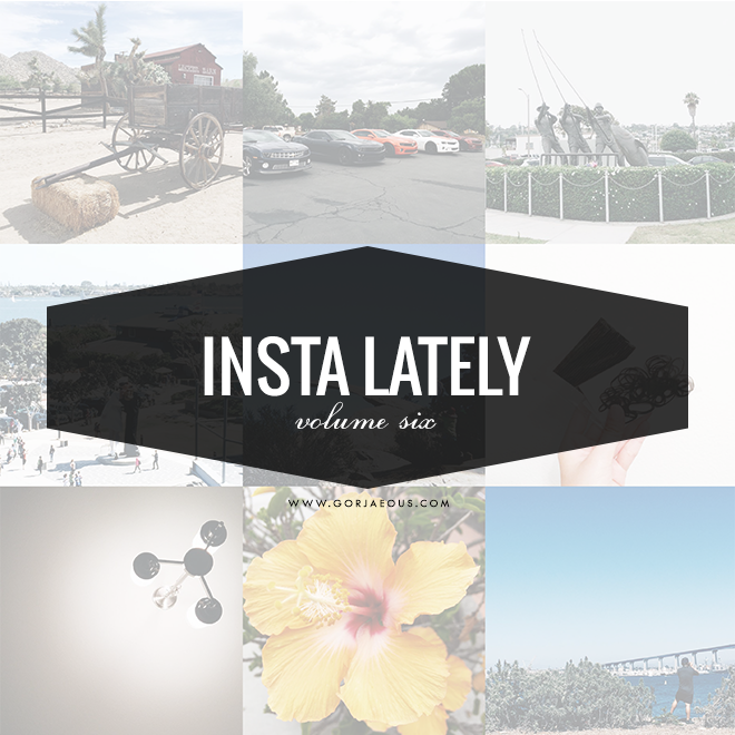 Insta Lately: Vol. 6 (cover) | SCATTERBRAIN.png