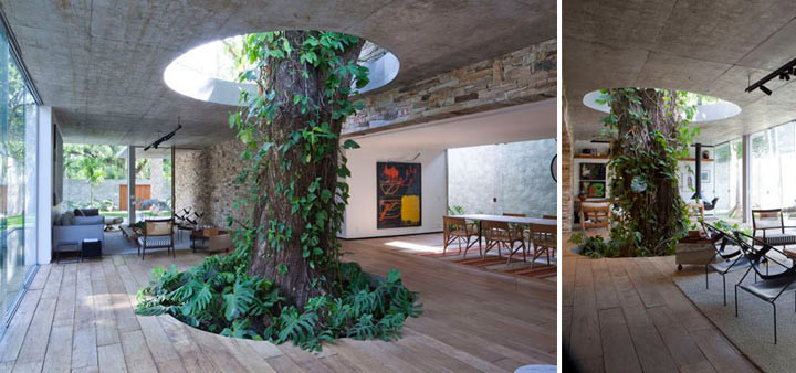  Casa Vogue дерево, дом, здания