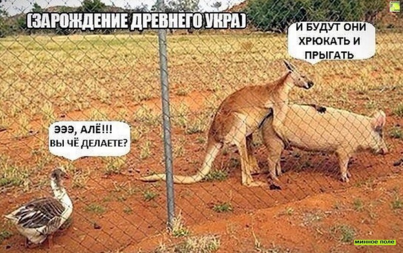 Немного ехидства, сарказма, стёба и даже чистого юмора вам в ленту!!! Немного ехидства, сарказма, стёба и даже чистого юмора вам в ленту!!!
