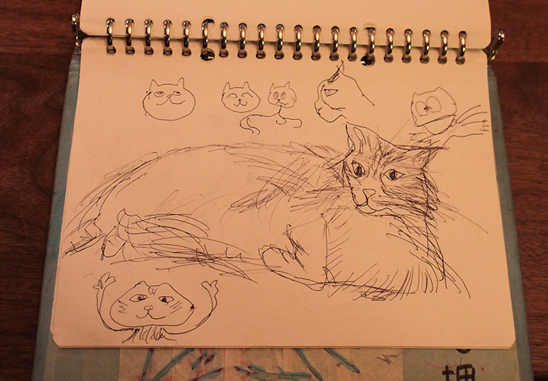 Кото-кафе в Осаке Кото-кафе в Осаке