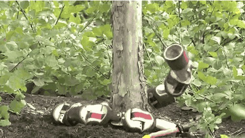 технологии, будущее, изобретения, гаджеты