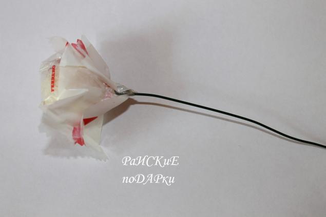 цветы цветы