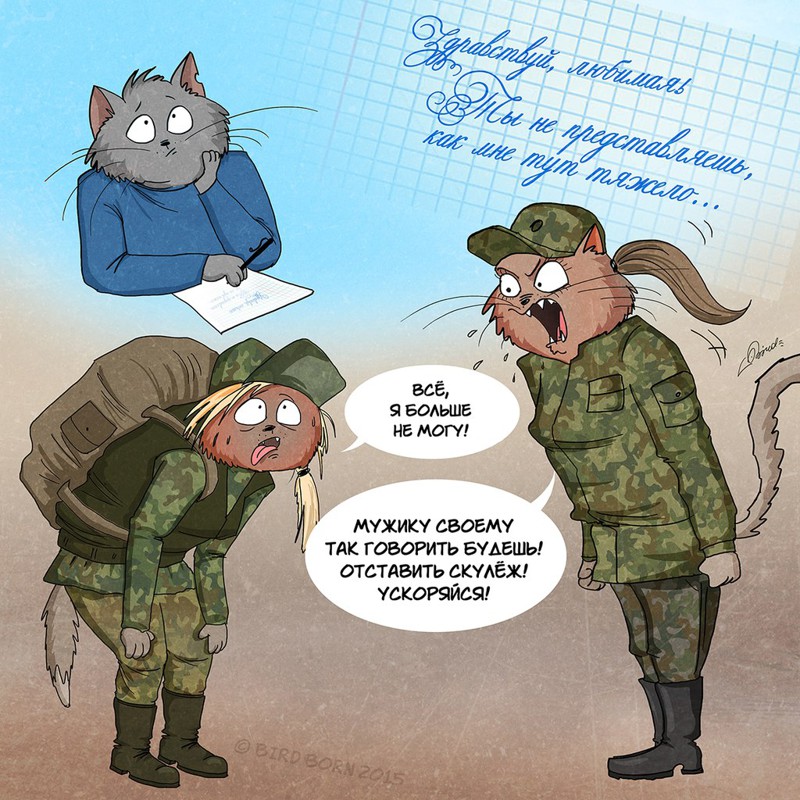 Меняемся местами. Мужчина и Женщина Меняемся местами. Мужчина и Женщина Bird Born, женщина, мужчина, прикол