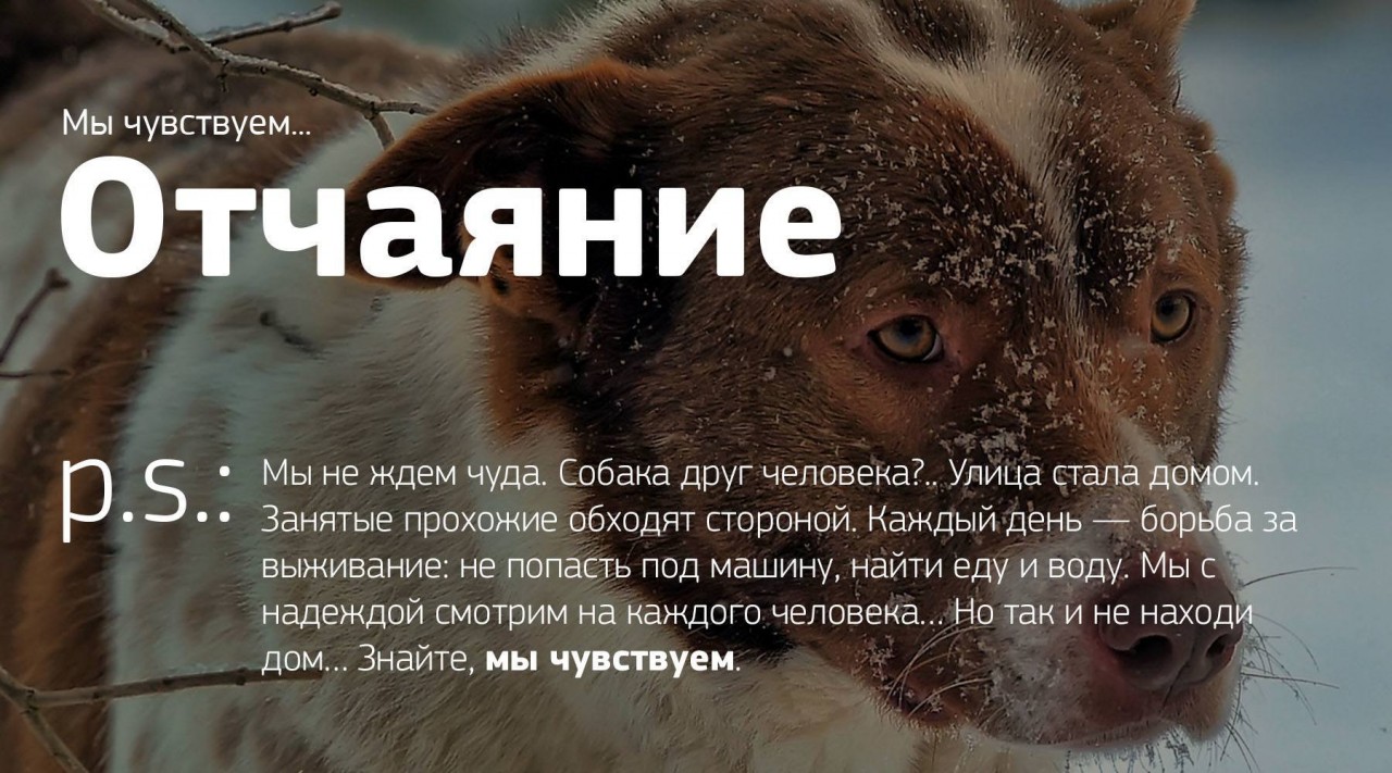 Мы чувствуем