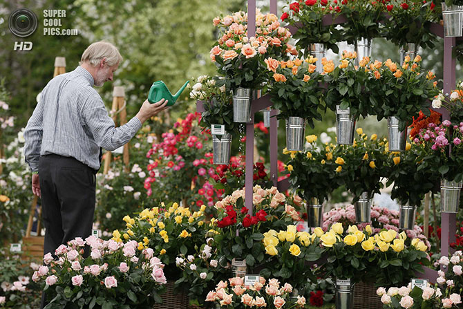 Выставка цветов и ландшафтного дизайна Chelsea Flower Show 2014