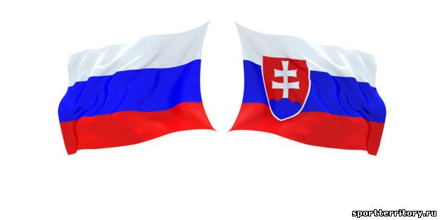 Голос " Грузинский чиновник по ошибке сжег флаг Словакии вместо флага России