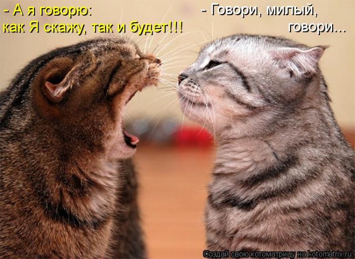   ... !
