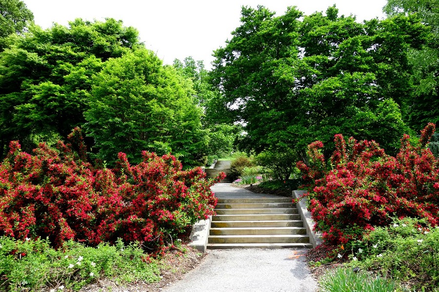 Biltmore Gardens - 