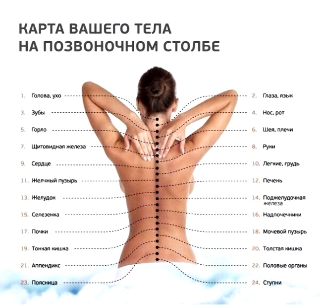 карта тела на позвоночном столе