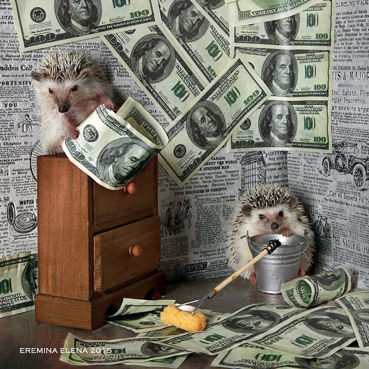     , , 