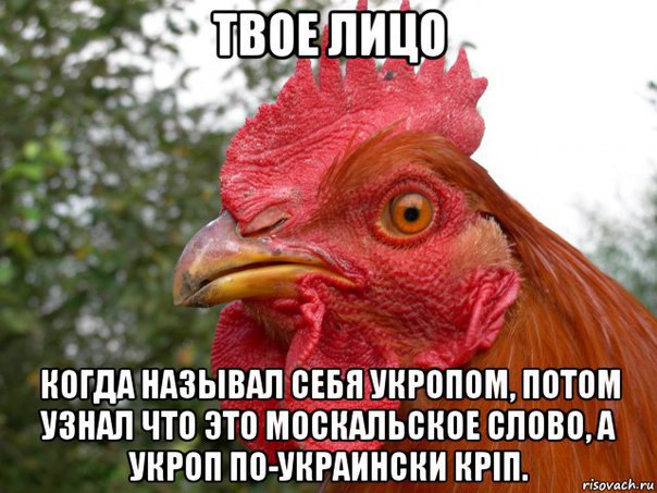 Картина маслом-5. Обзор за неделю)))+ 18! Картина маслом-5. Обзор за неделю)))+ 18!